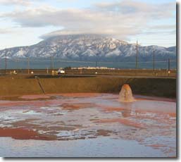 Winery Waste Lagoon